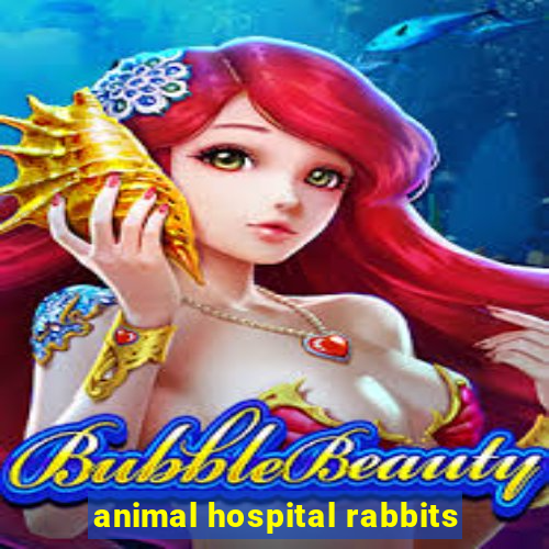 animal hospital rabbits